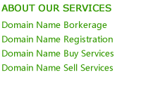 Our Services